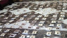 المنطقة العسكرية الشرقية تحبط محاولة تهريب مواد مخدرة بواسطة بالونات