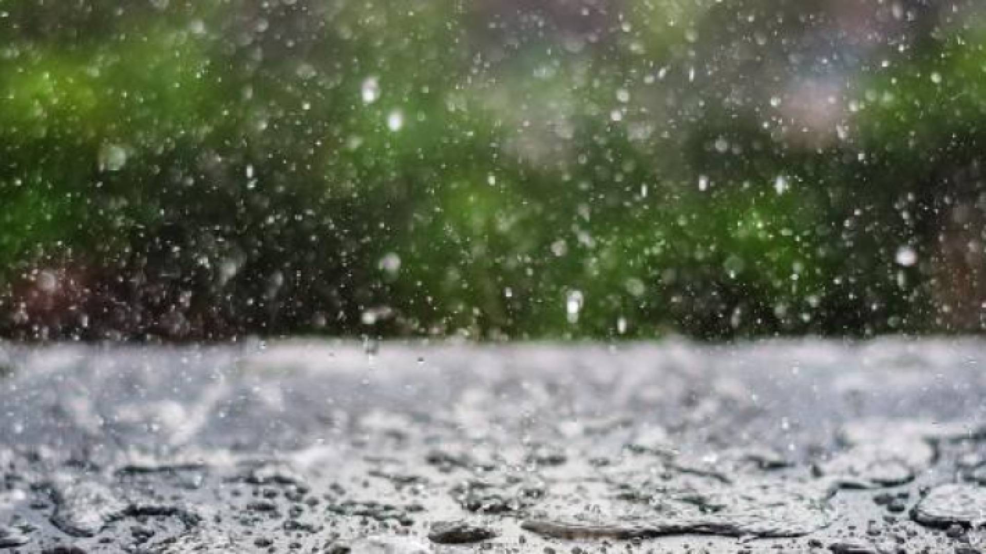 الأغوار تسجل أعلى مجموع مطري بواقع 55.2 ملم خلال الهطولات الأخيرة 