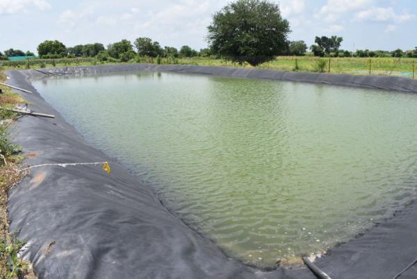 رصد 200 بركة زراعية في جرش وإجراءات للحد من مخاطرها 