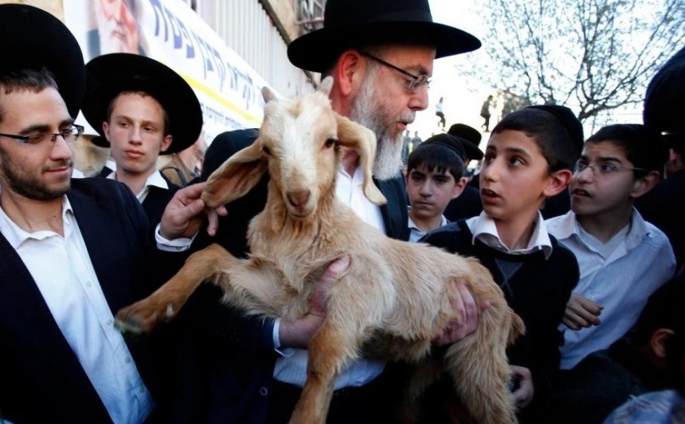 جماعات الهيكل تحرّض لاقتحام الأقصى وذبح القرابين في الفصح 