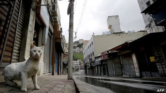 A lone cat wlks along a market street in the centre of the Jordanian capital Amman, during a nationawide curfew imposed by the authorities in order to control the spread of the novel coronavirus, on March 21, 2020. (Photo by Khalil MAZRAAWI / AFP)