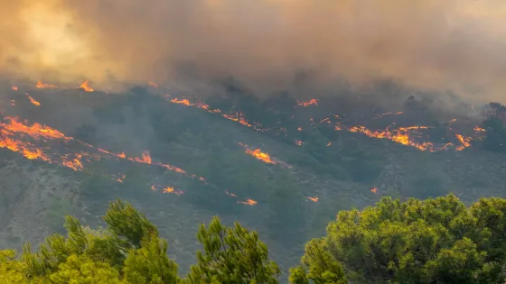 اليابان تستنفر 1400 إطفائي لإخماد حرائق الشمال