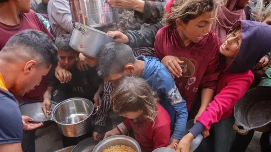 ألمانيا تقيم جسراً جوياً إنسانياً مع غزة عبر الأردن