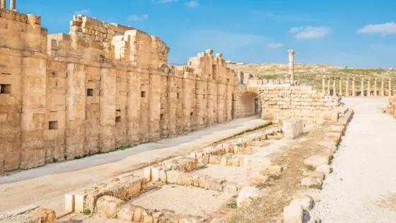 بعد 1500 عام.. حل لغز أول جائحة في التاريخ من مقبرة جماعية في اﻷردن