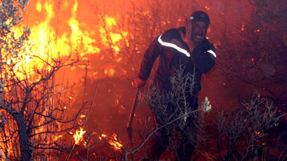 الأردن يعزي الجزائر بضحايا حرائق الغابات