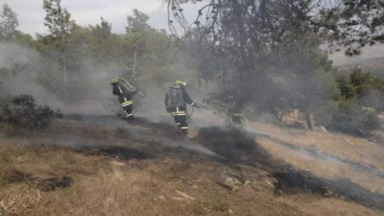 الدفاع المدني يخمد حريقا أتى على مساحات واسعة في عجلون
