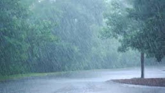 طقس العرب : أمطار رعدية يوم غد وتحذير من تدني مدى الرؤية وخطر تشكل السيول