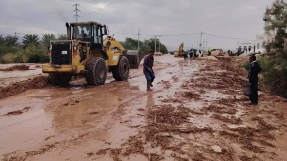 لقاء حكومي نيابي لبحث معالجة آثار السيول في الكرك وحماية المواقع الأثرية