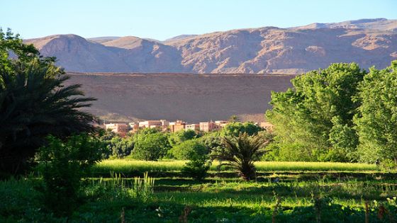 الأغوار الجنوبية: المنتج السياحي يحتاج رعاية واهتماما