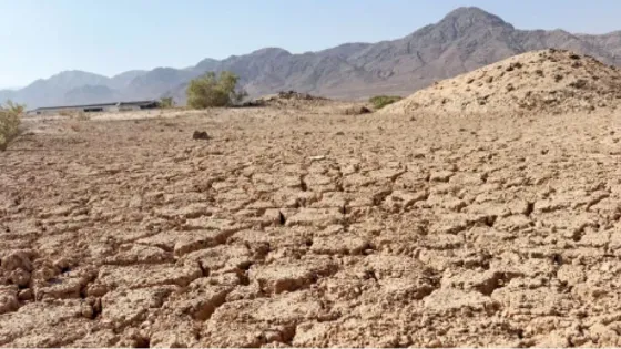 دراسة: تغيّر المناخ يهدد المجتمعات الريفية ويدفع نحو التنقّل الداخلي في الأردن
