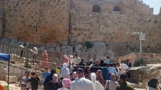 محافظة عجلون تشهد حركة سياحية نشطة خلال نهاية الأسبوع