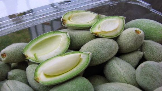 وزير الزراعة: الموسم المطري الحالي يرفع جاهزية المحاصيل