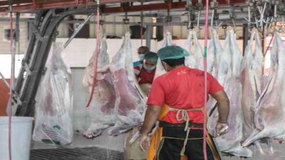 180 طبيب بيطري أردني يشرفون على 4 مسالخ لذبح الهدي في مكة