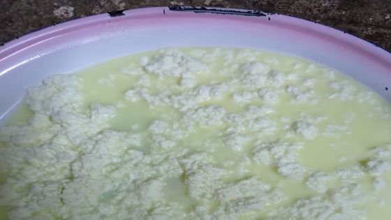 موسم الحثيمة في الأردن يصل إلى ذروته