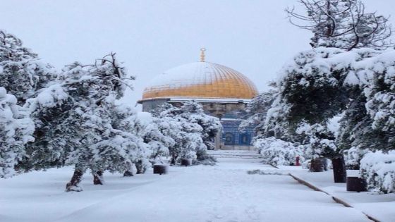 القدس تكتسي بحلة بيضاء..مع التساقط الكثيف للثلوج