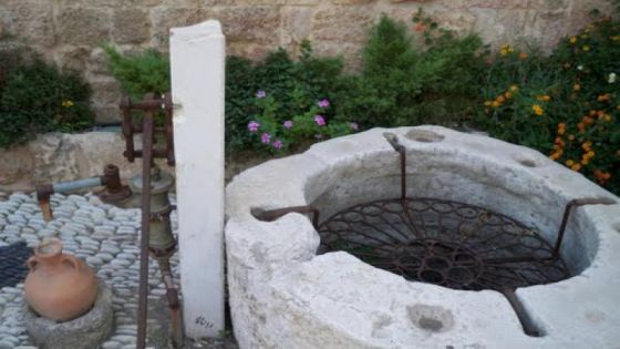 زراعة إربد تعلن إنشاء 1062 بئرا لجمع مياه الأمطار