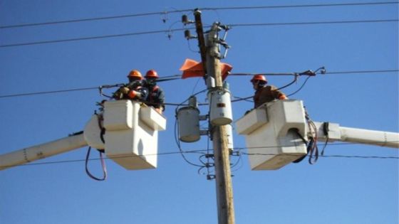 الضمان تدعو للتأكد من انطباق المهن الخطرة على مهن قبل الاستقالة