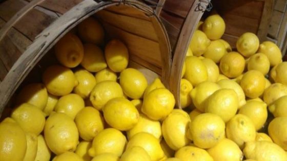 إليكم سعر كيلو الليمون في قائمة السوق المركزي