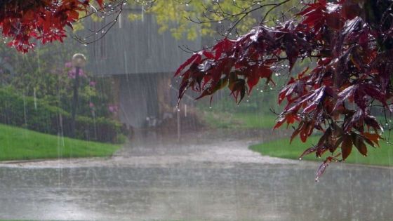 الأرصاد : نسب الأمطار لا تزال دون المستوى المطلوب