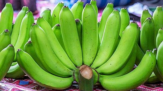 ضبط كميات كبيرة من الموز المسروق في الشونه