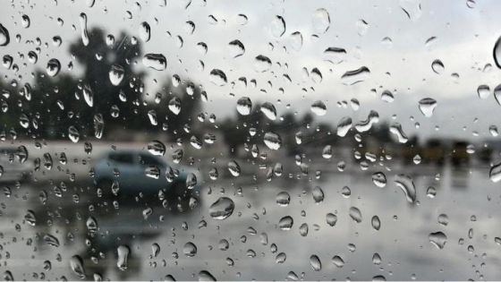 عاجل |بدء تساقط الامطار في جنوب المملكة