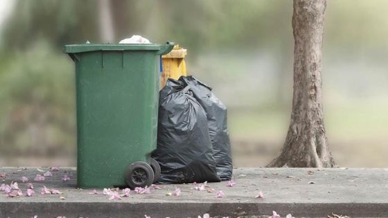 وزير البيئة: 11 ألف مخالفة متعلقة بالإلقاء العشوائي للنفايات خلال العام الماضي