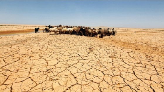 شح مياه الأردن…أصحاب نفوذ متهمون بسحب موارد المواطنين