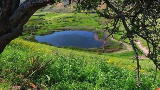 الجمعة … طقس بارد نسبياً في أغلب المناطق