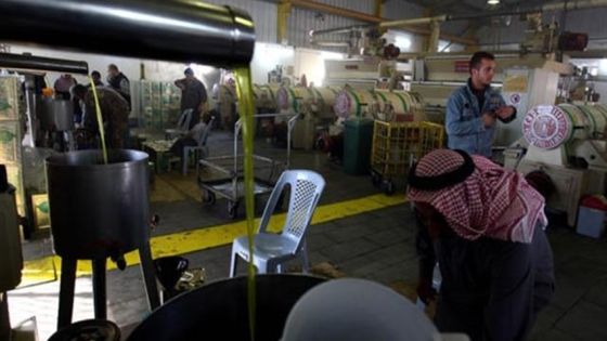 تنفيذ جولات رقابية ميدانية على معاصر الزيتون في الردن