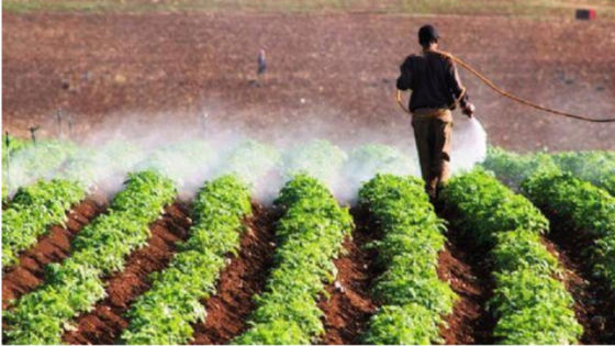 وزير الزراعة: الأمن الغذائي مستقر وقوي رغم الأوضاع الإقليمية