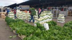 إلغاء وحدات بيع اللحوم والدواجن في سوق إربد المركزي الجديد