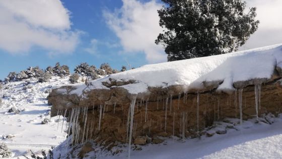 عاصفة ثلجية تضرب لبنان وسماكة الثلوج تصل إلى 60 سنتيمترا