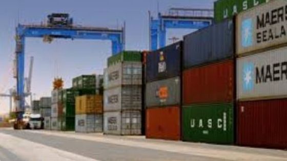 شركات التخليص: تنظيم مليون بيان جمركي منذ بداية العام الحالي