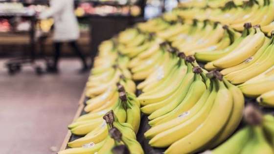 توضيح من وزارة الزراعة بشأن استيراد الموز