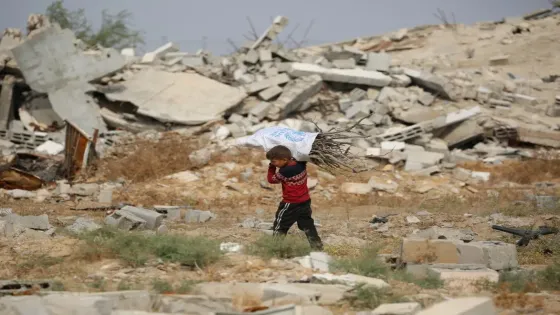 الأردن ومصر يتعهدان بتدريب أفراد شرطة قوة الاستقرار في غزة