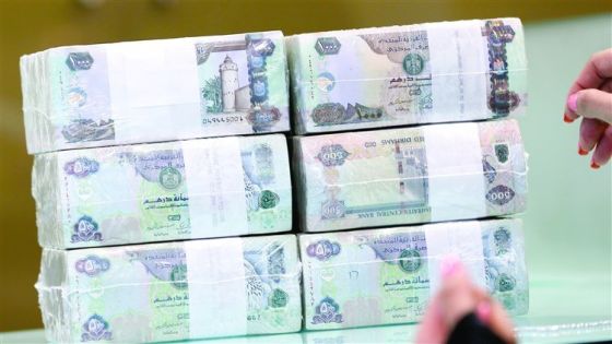 ضبط مليون وثلاثمائة ألف درهم أخرى بقضية سرقة الخمسة ملايين درهم إماراتي