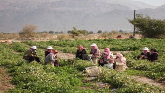 البنك الدولي يحوّل 23.6 مليون دولار للأردن لدعم قطاع الزراعة