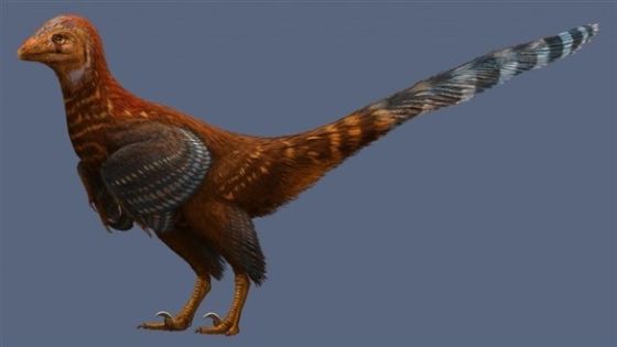 اكتشاف ديناصور بحجم دجاجة عمره 110 ملايين سنة!