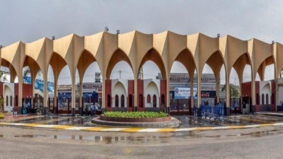 التعليم العالي تعلن عن منح دراسية من جامعة حلوان المصرية