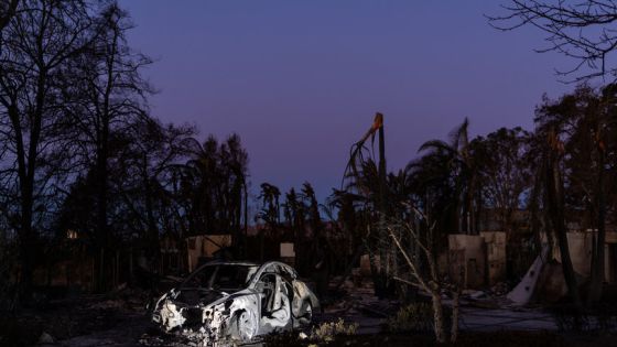 Remains of Tesla electric car, destroyed by the Palisades Fire, are seen as the moon sets on the horizon at the Pacific Palisades neighborhood in Los Angeles, California, U.S. January 13, 2025. REUTERS/Carlos Barria