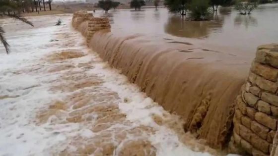 وزير الإدارة المحلية يوجه بحصر أضرار السيول وإعداد خطط المعالجة