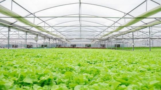 وزير الزراعة المصري: الأردن أحدث طفرة زراعية في ظل ندرة المياه