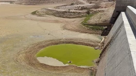 اتحاد المزارعين : الحكومة مطالبة بتعويض المزارعين بعد نفاد مياه سدّ الوالة