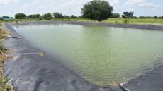 رصد 200 بركة زراعية في جرش وإجراءات للحد من مخاطرها