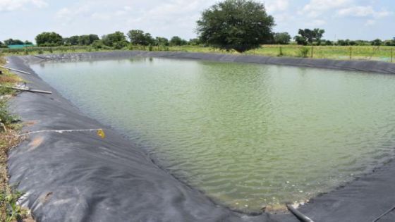 رصد 200 بركة زراعية في جرش وإجراءات للحد من مخاطرها