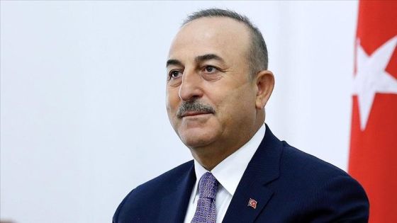 تشاووش أوغلو: تركيا تسعى لقرار أممي ضد إسرائيل