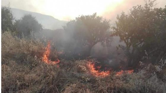 السيطرة على حريق امتد من غربي نهر الأردن الى أراضي الباقورة
