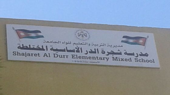 أفاعٍ تتسبب بتعطيل الدوام في مدرسة بالعاصمة عمان