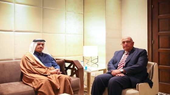 وزيرا خارجية قطر ومصر يلتقيان لأول مرة منذ 2017