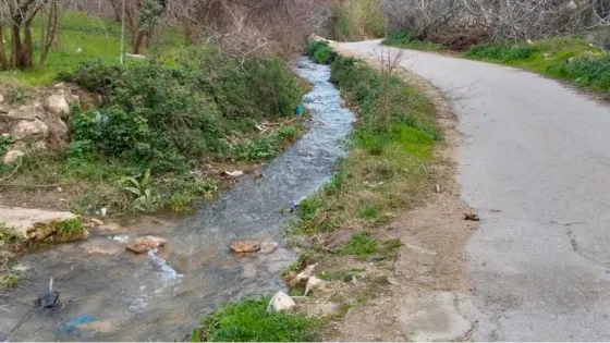 إربد.. مطالب بإحياء مشروع سد وادي الريان واستكمال تبطين القناة الزراعية